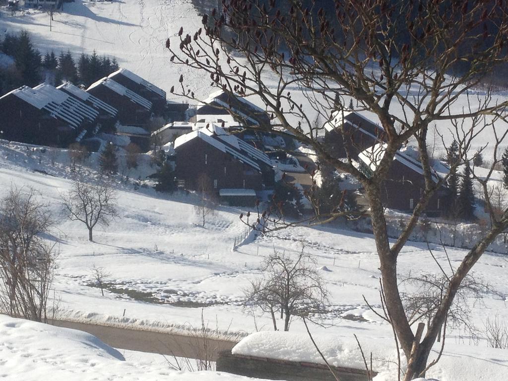 Hotel-Berggasthof Schwarzwaldperle Sasbachwalden Dış mekan fotoğraf