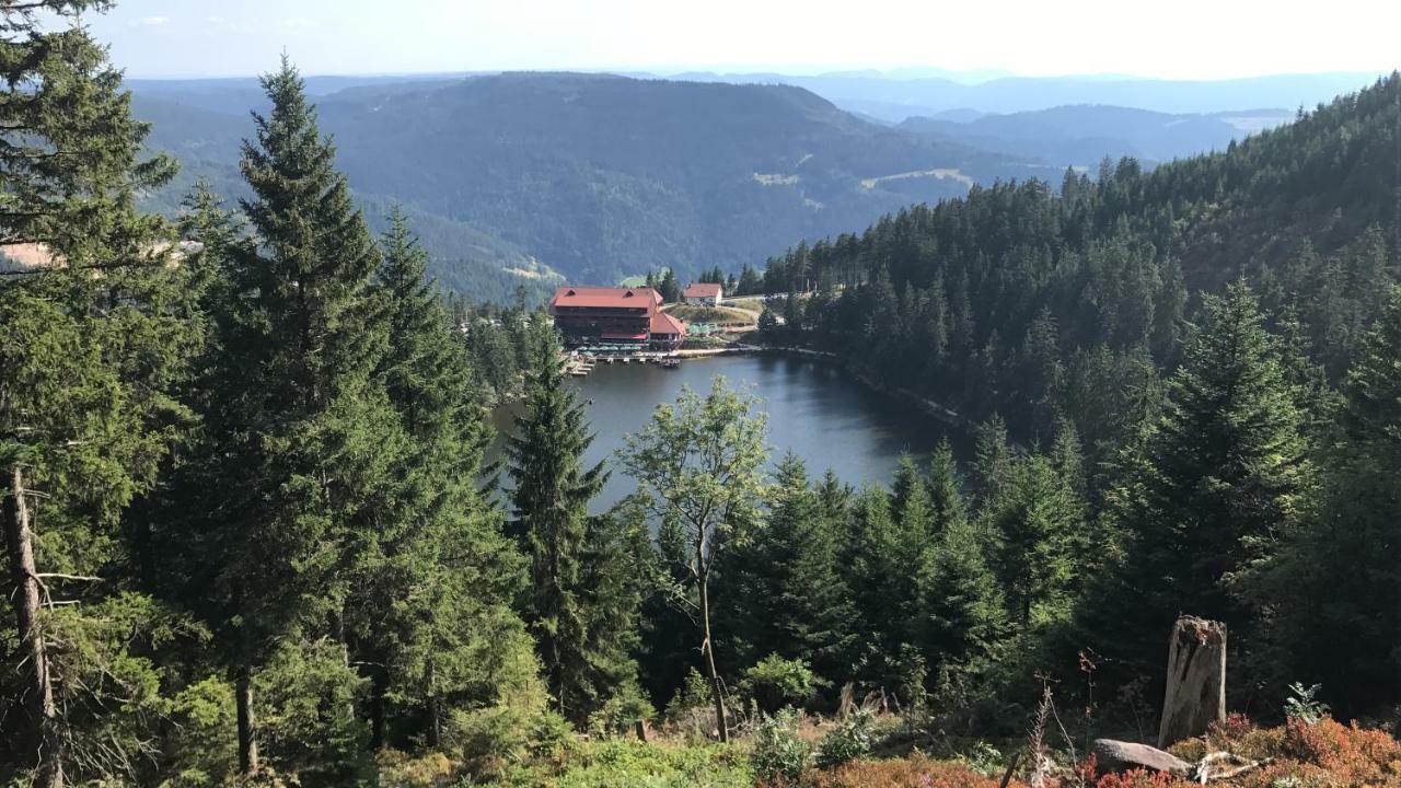 Hotel-Berggasthof Schwarzwaldperle Sasbachwalden Dış mekan fotoğraf